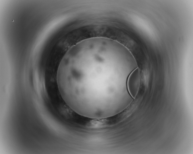 X0000099970526200805231407