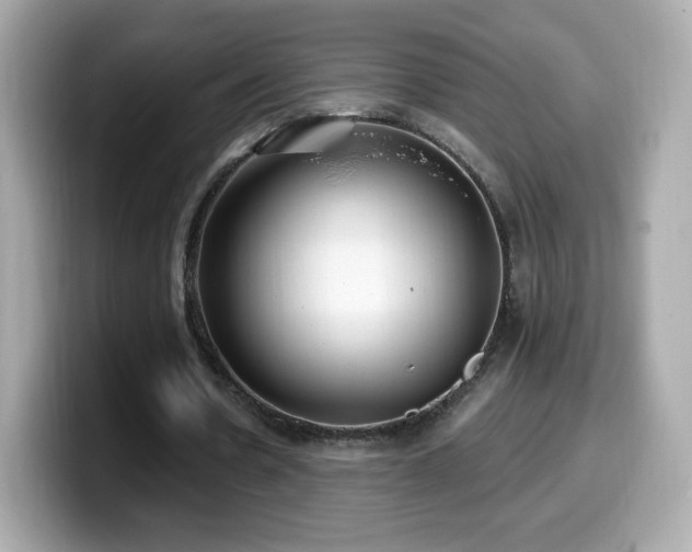 X0000099970530200805231407