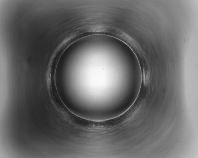 X0000099970531200805231407
