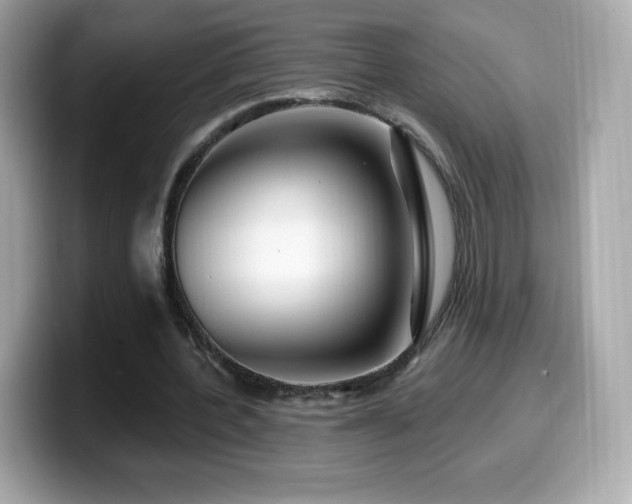 X0000099970532200805231407