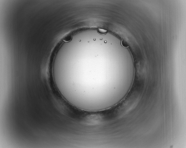 X0000099970536200805231407