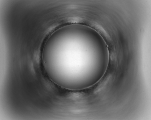 X0000099970540200805231407