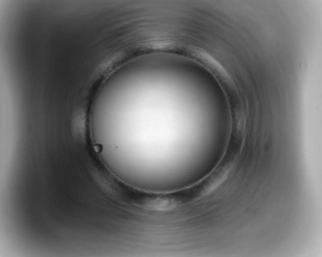 X0000099970542200805231407