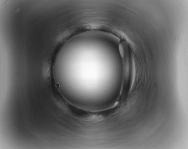 X0000099970543200805231407