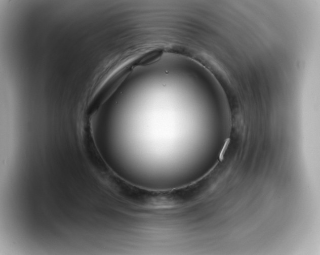 X0000099970544200805231407