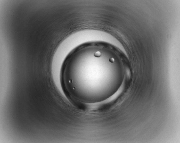 X0000099970546200805231407