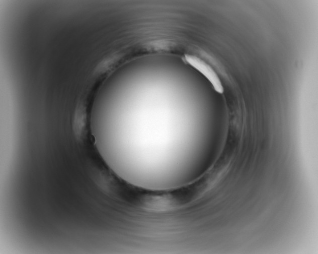 X0000099970548200805231407