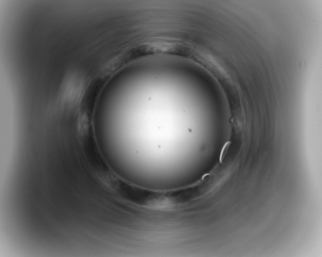 X0000099970551200805231407