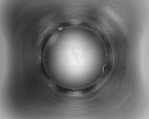 X0000099970553200805231407