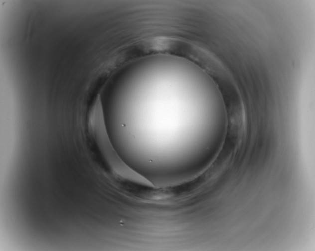 X0000099970555200805231407