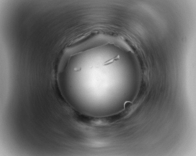 X0000099970561200805231407