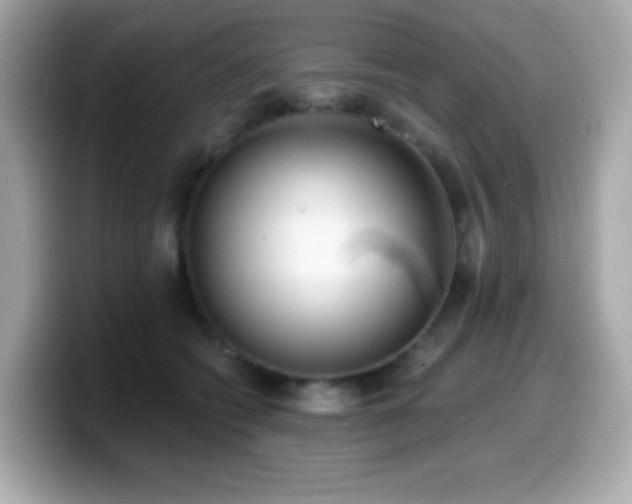 X0000099970562200805231407