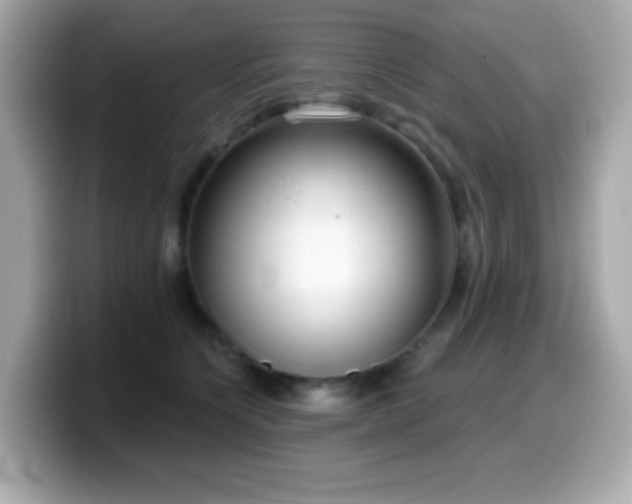X0000099970564200805231407