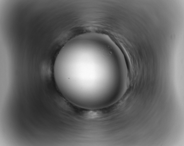 X0000099970566200805231407