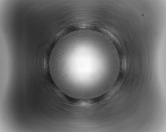 X0000099970569200805231407
