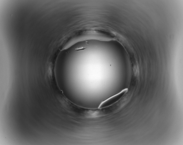 X0000099970570200805231407