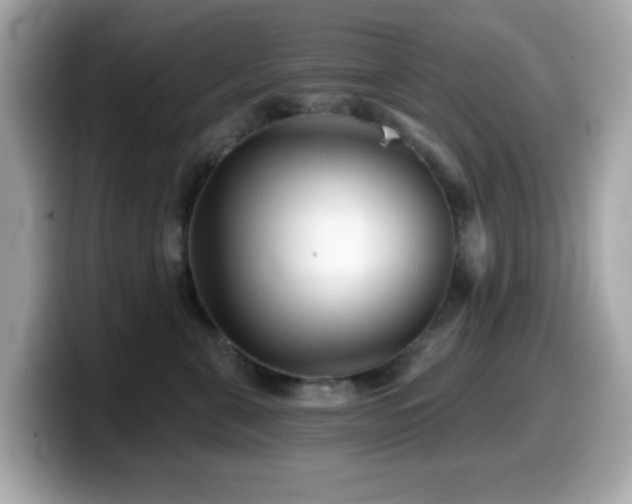 X0000099970571200805231407