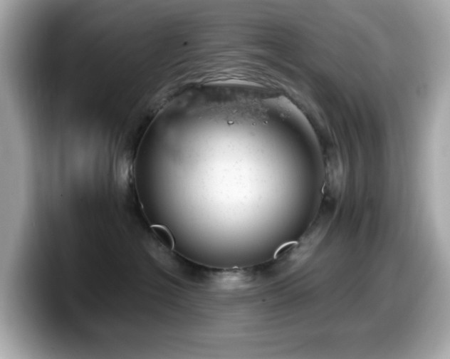X0000099970574200805231407
