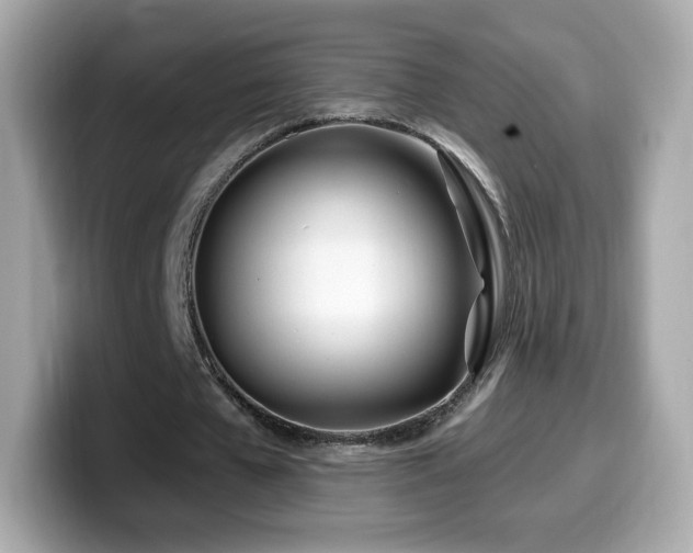 X0000099970577200805231407
