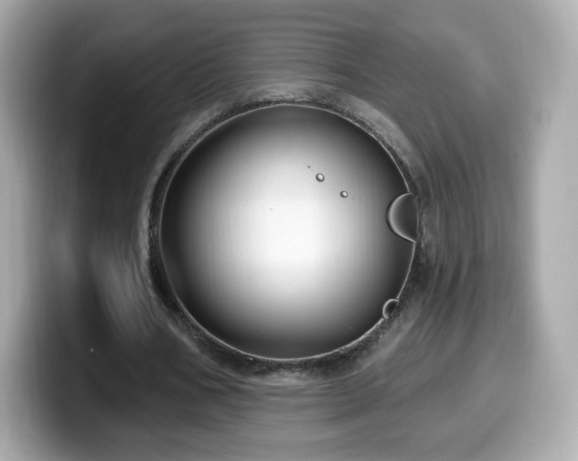 X0000099970578200805231407