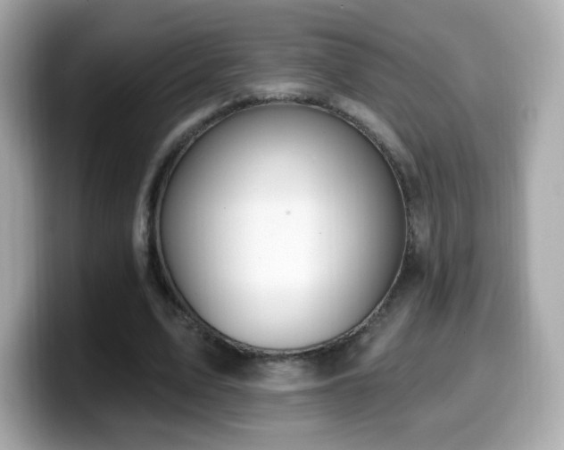 X0000099970583200805231406