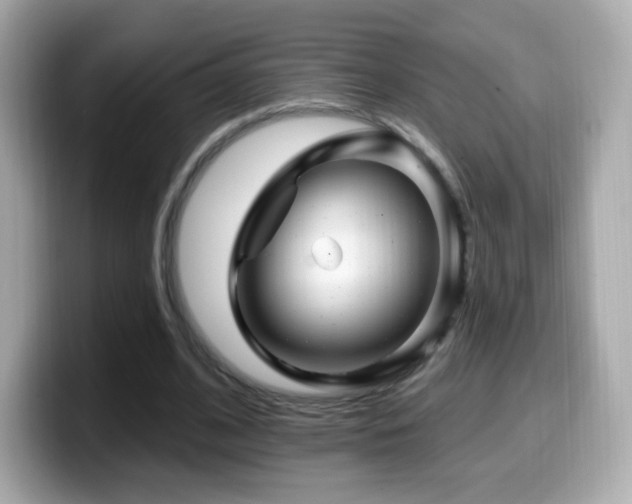 X0000099970584200805231406