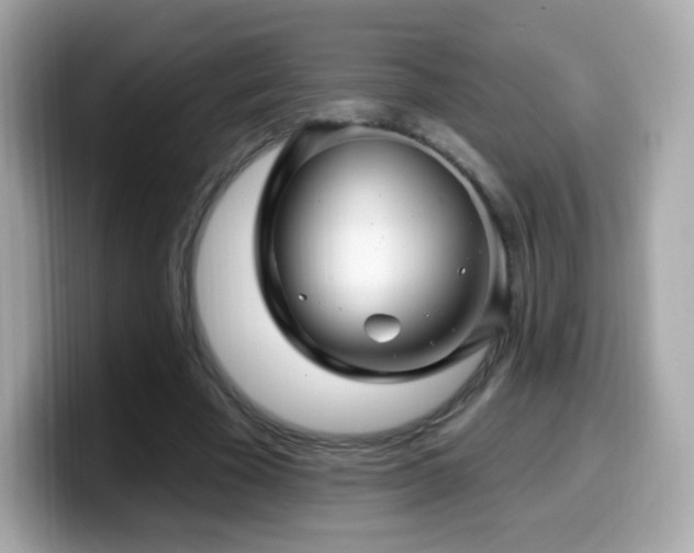 X0000099970585200805231406