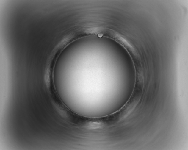 X0000099970586200805231406