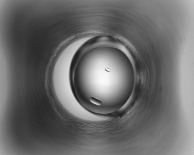 X0000099970588200805231406