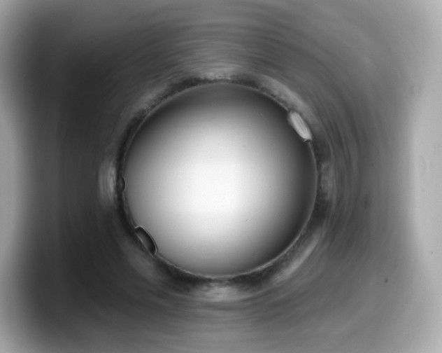 X0000099970589200805231406