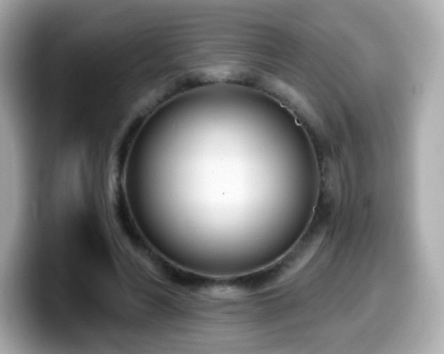 X0000099970590200805231406