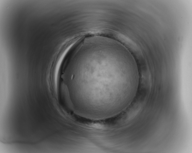 X0000099970592200805231406
