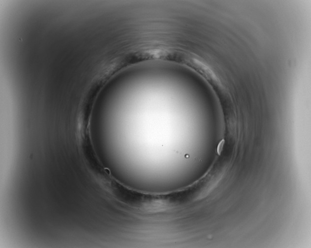 X0000099970594200805231406
