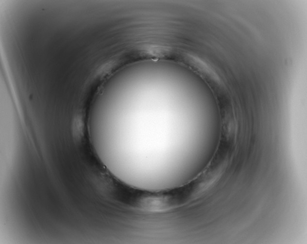 X0000099970595200805231406