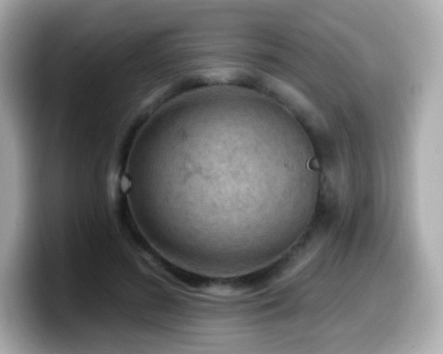 X0000099970596200805231406