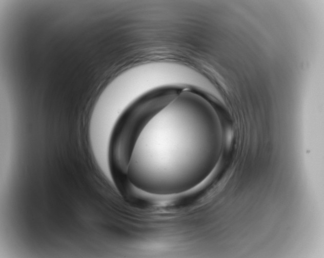 X0000099970597200805231406