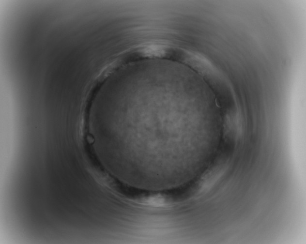 X0000099970600200805231406