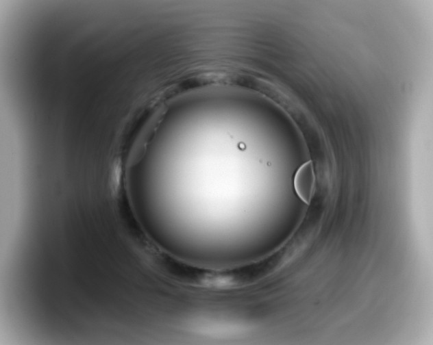 X0000099970602200805231406