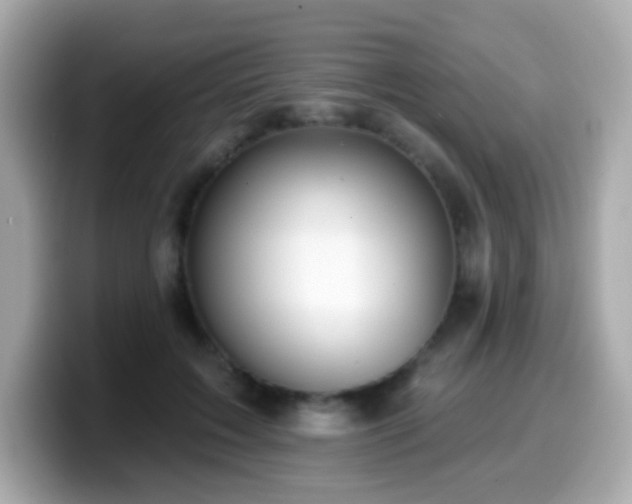X0000099970603200805231406
