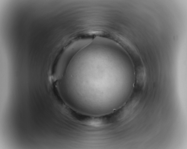 X0000099970604200805231406