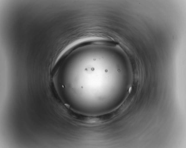 X0000099970605200805231406