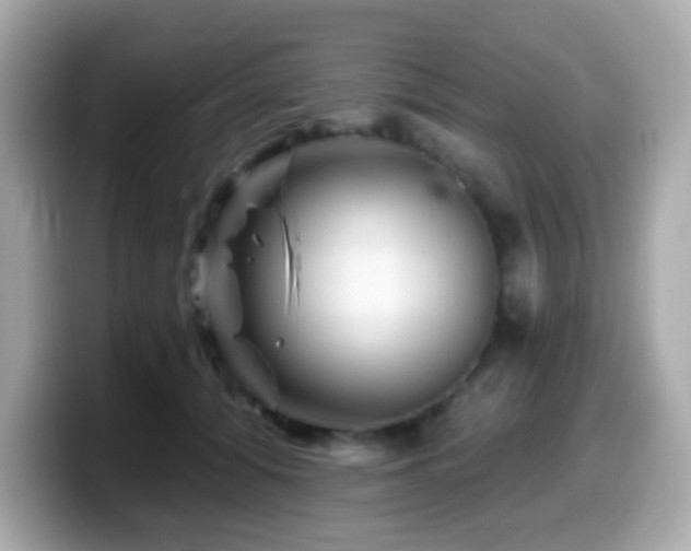 X0000099970608200805231406