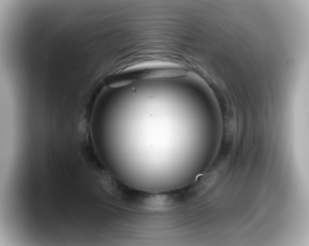 X0000099970609200805231406
