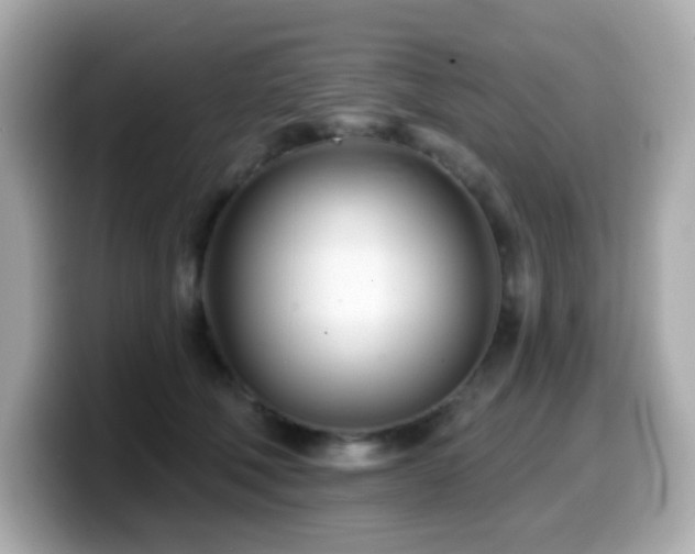 X0000099970610200805231406