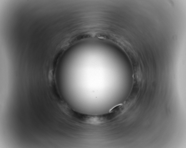 X0000099970611200805231406