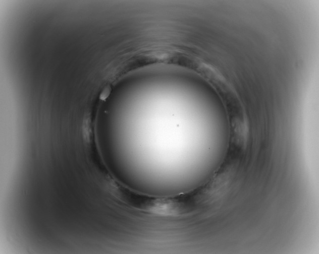 X0000099970612200805231406