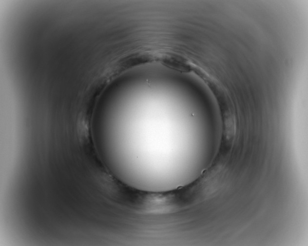 X0000099970613200805231406
