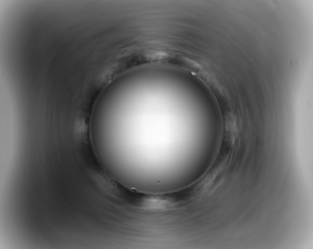 X0000099970614200805231406