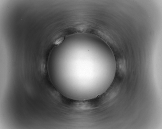 X0000099970615200805231406