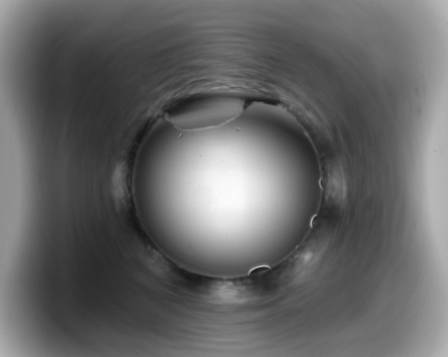 X0000099970616200805231406
